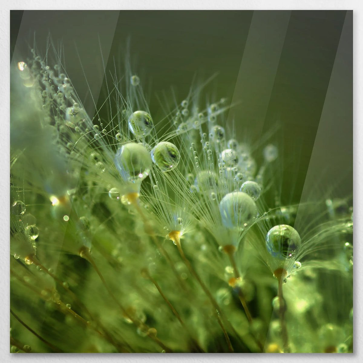 AC-080W080