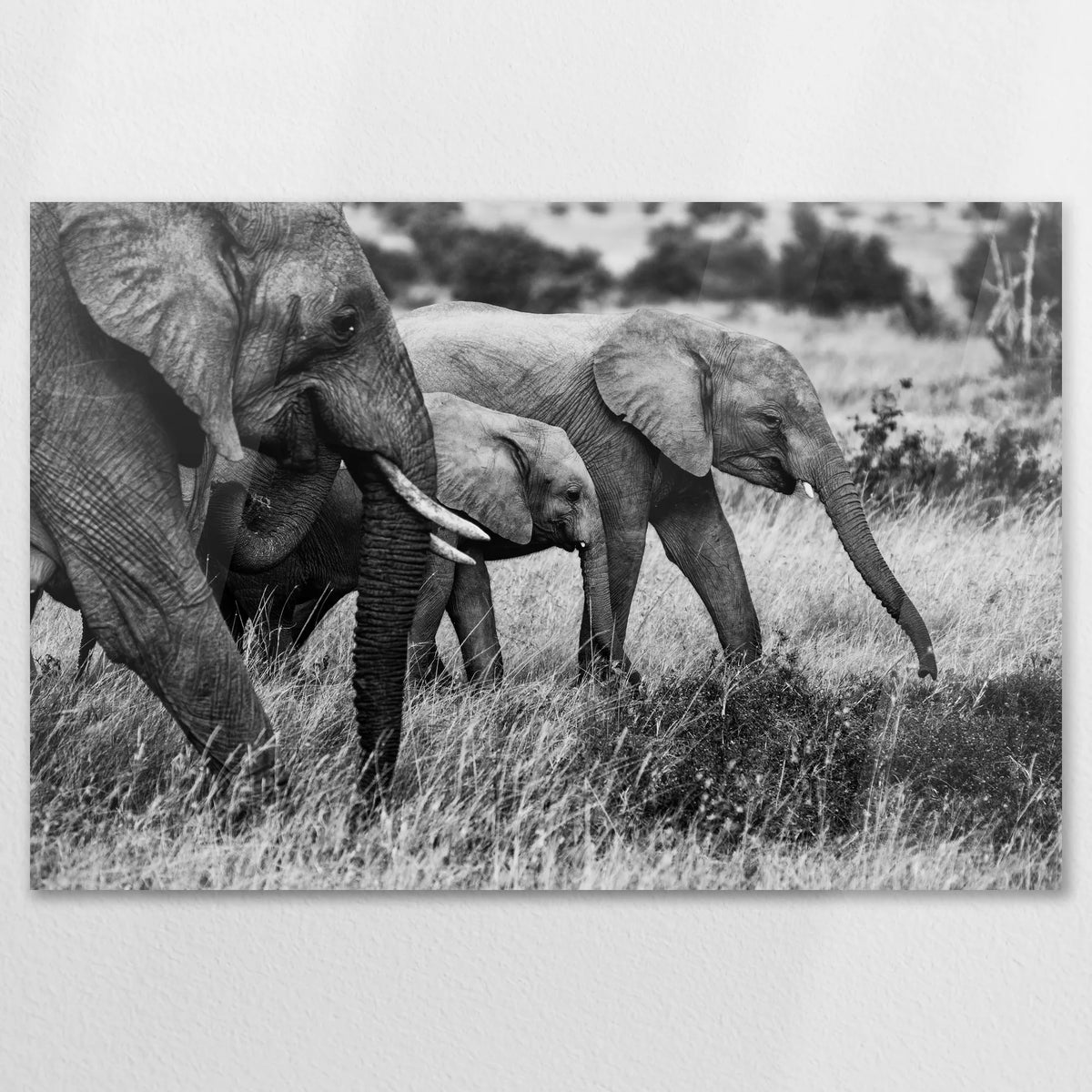 AC-120W080