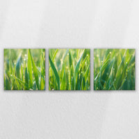 LW-120S040