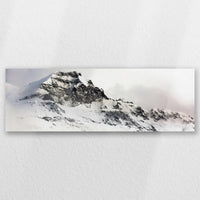 AC-060P020