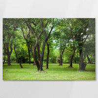 AC-090W060