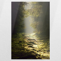 PO-050W075