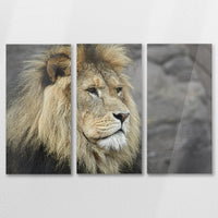 AC-090R060