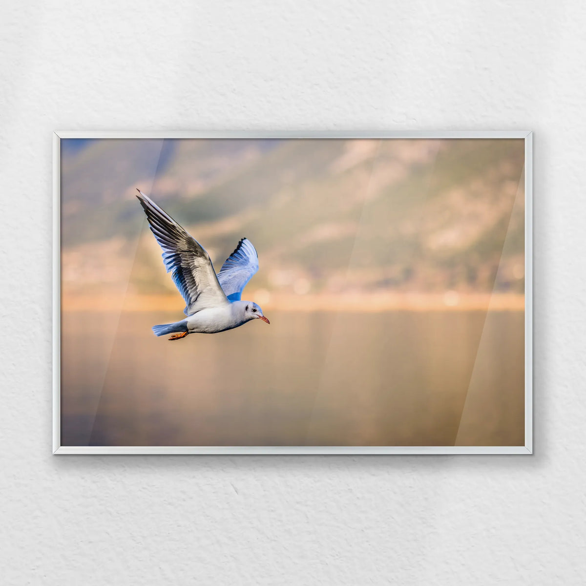 PS-060W040