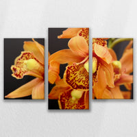 LW-090T060