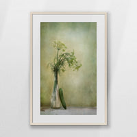 PNP062W093