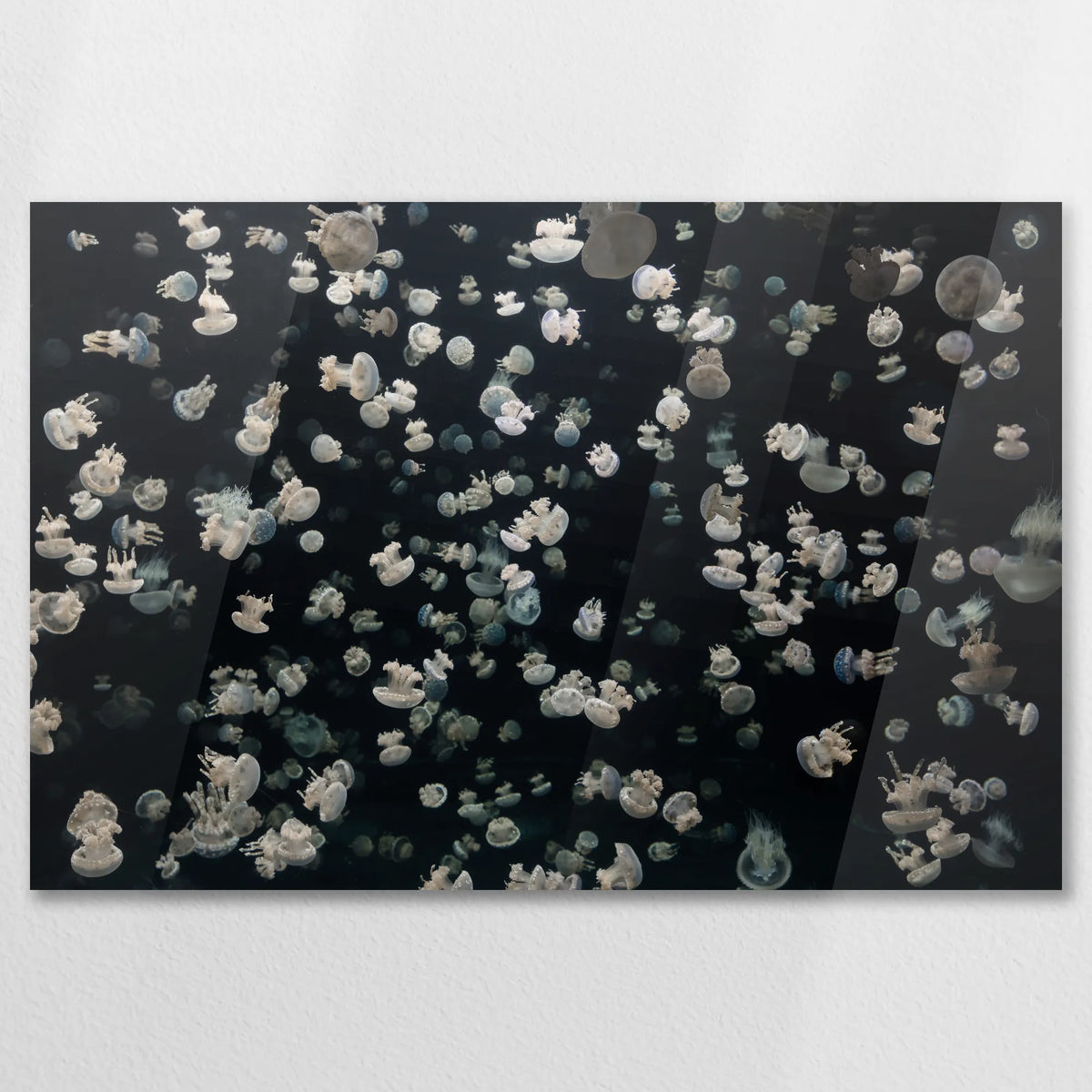 AC-075W050
