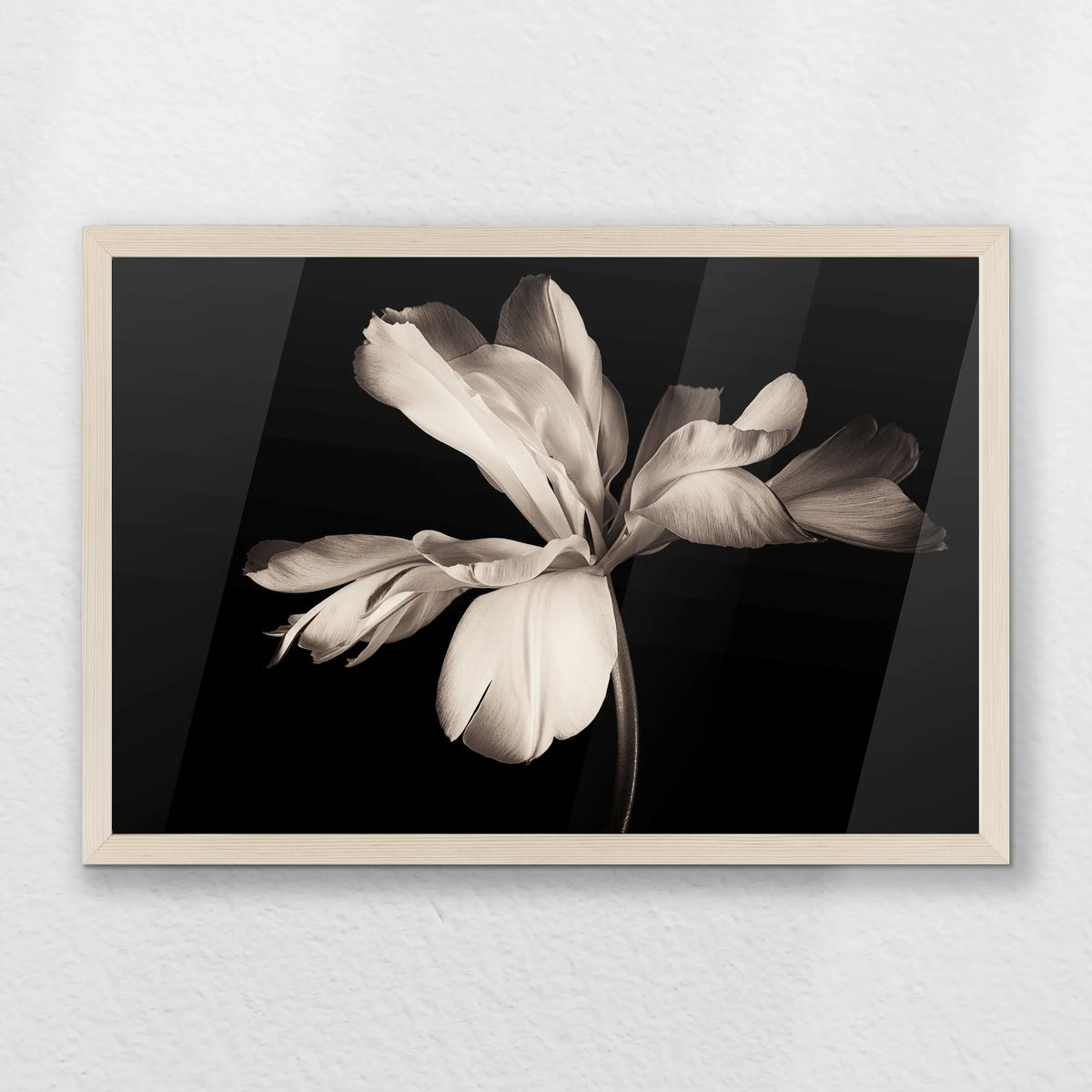 PN-060W040