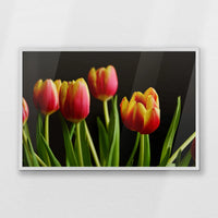 PW-093W062