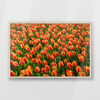 PN-093W062