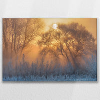 LW-075W050