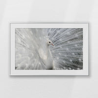 PSP100W070