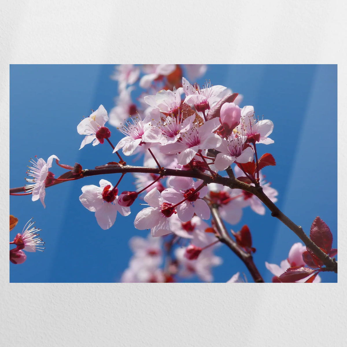 PO-075W050