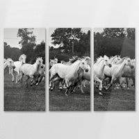 AL-150R100