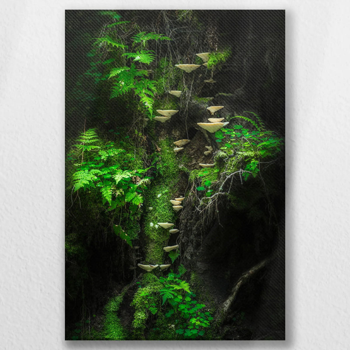LW-030W045