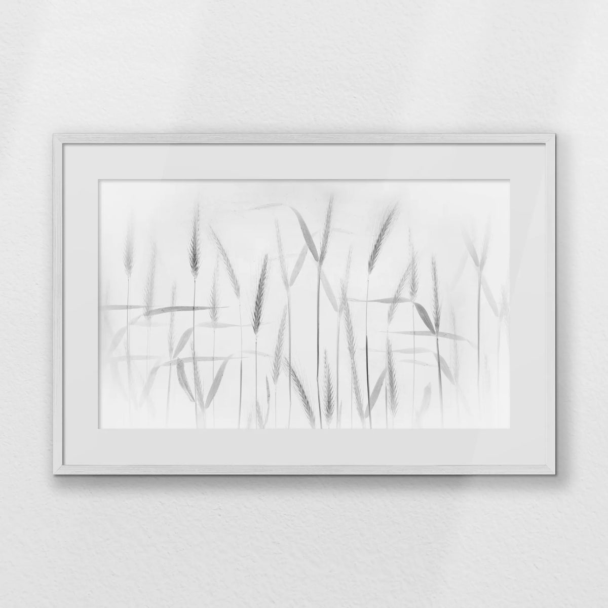PWP093W062