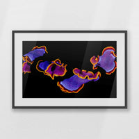 PKP093W062