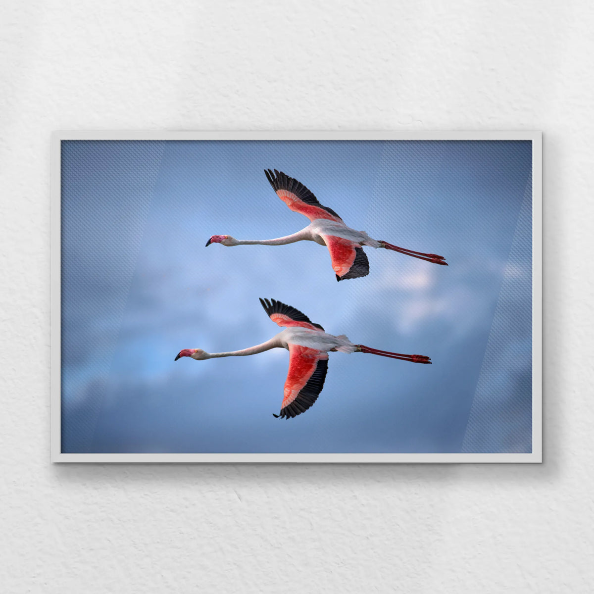 LWW100W070