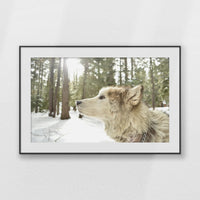 PBP100W070