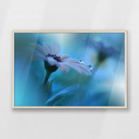 PN-093W062