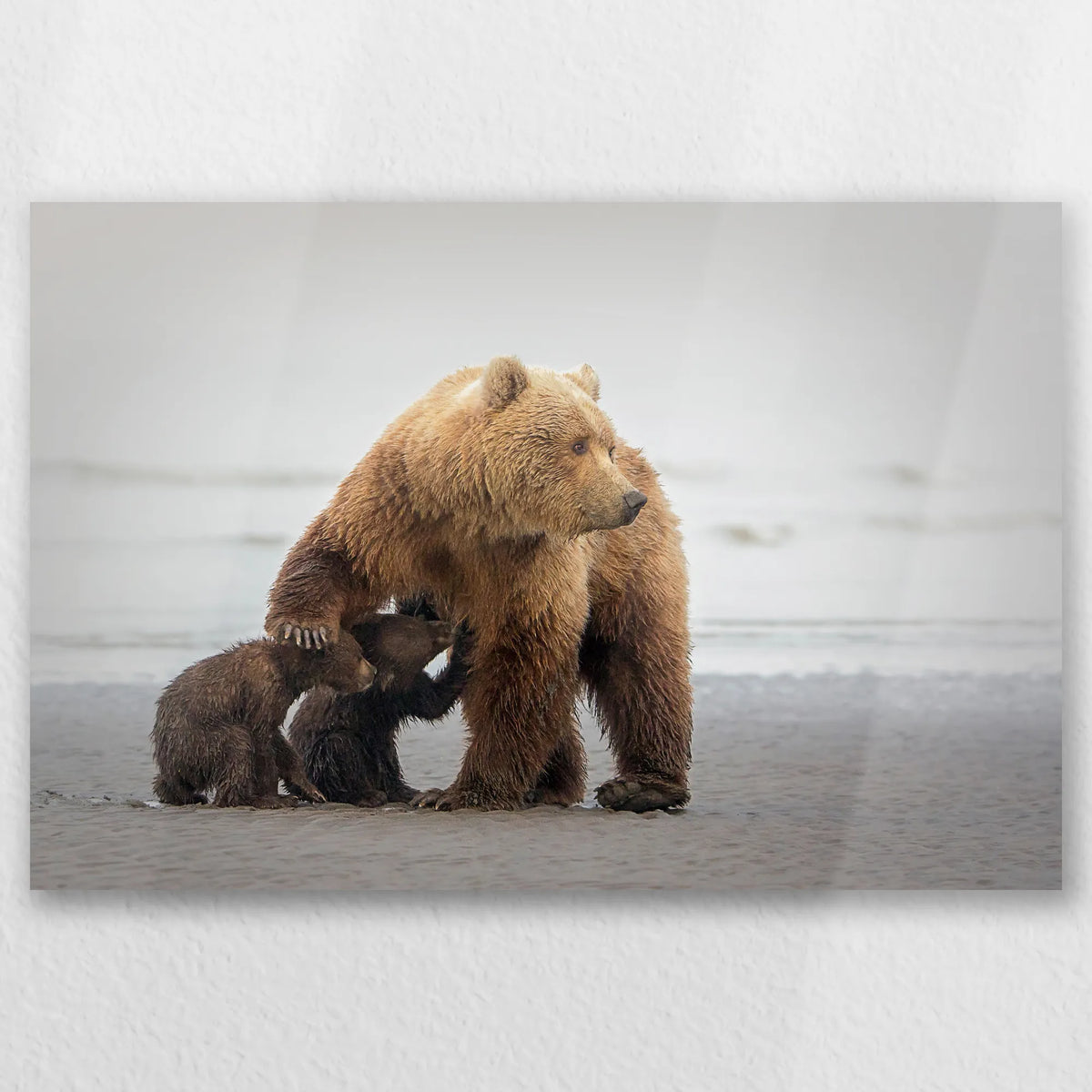 AL-060W040