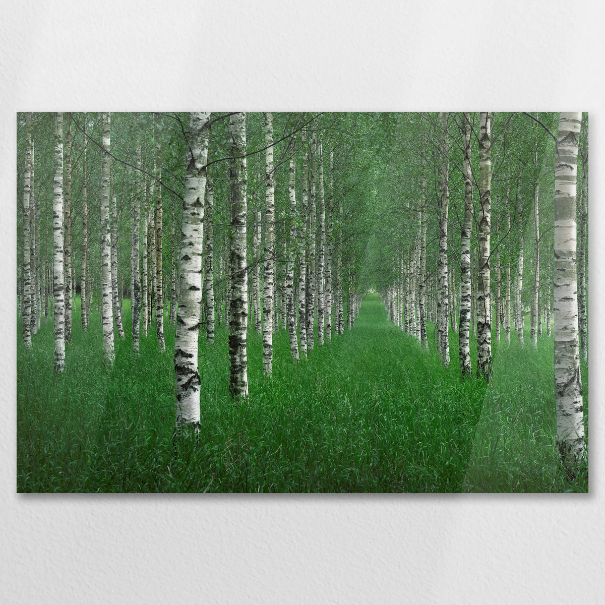 AC-090W060