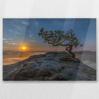 AL-045W030
