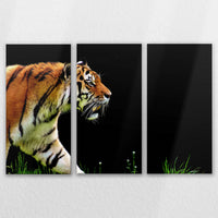 LW-120R080