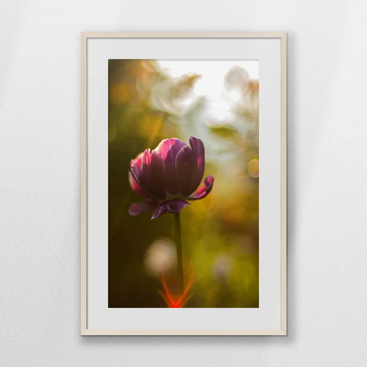 PNP062W093