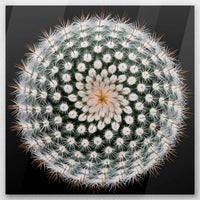 AC-040W040