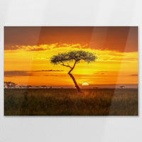 AL-120W080