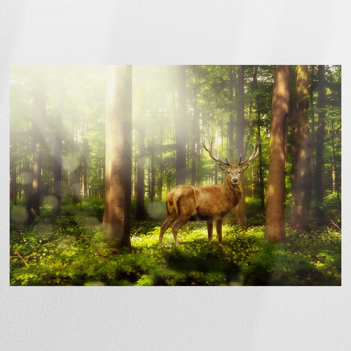 PO-120W080