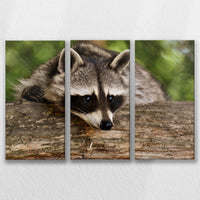 LW-090R060
