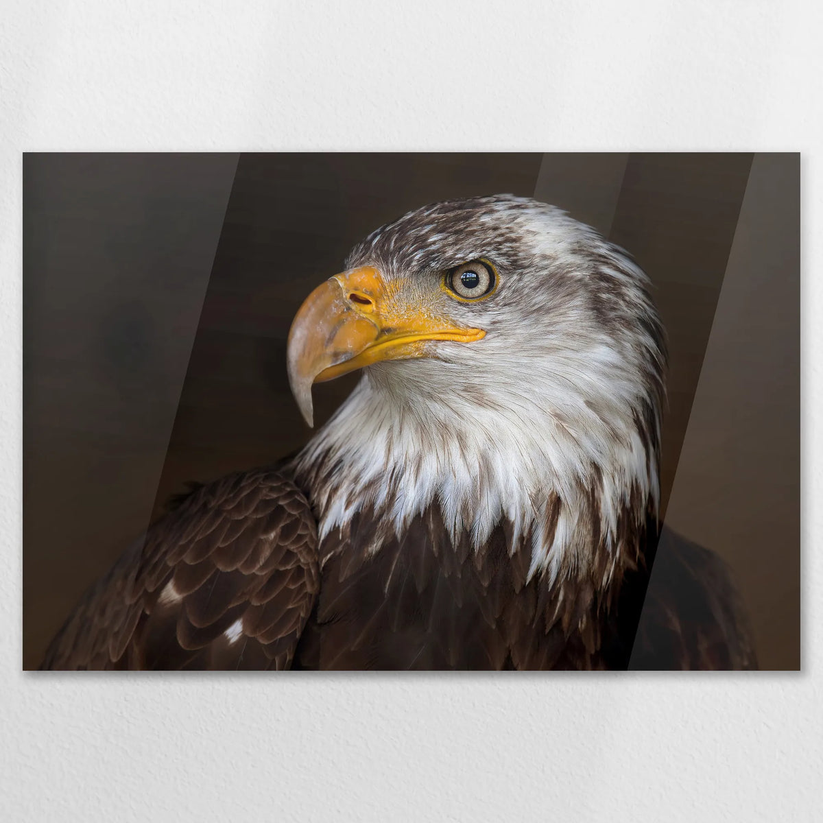 AC-120W080