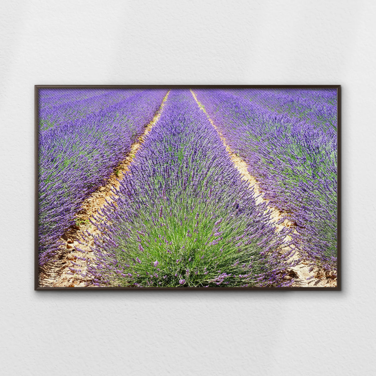 LWN120W080