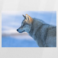PO-030W020