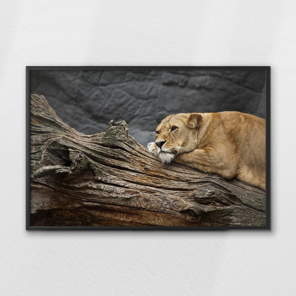 LWB100W070
