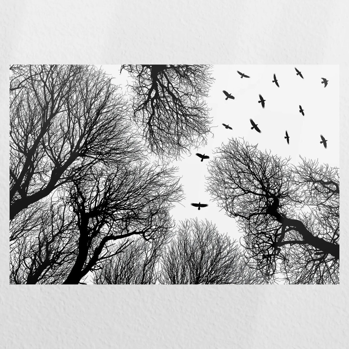 PO-045W030