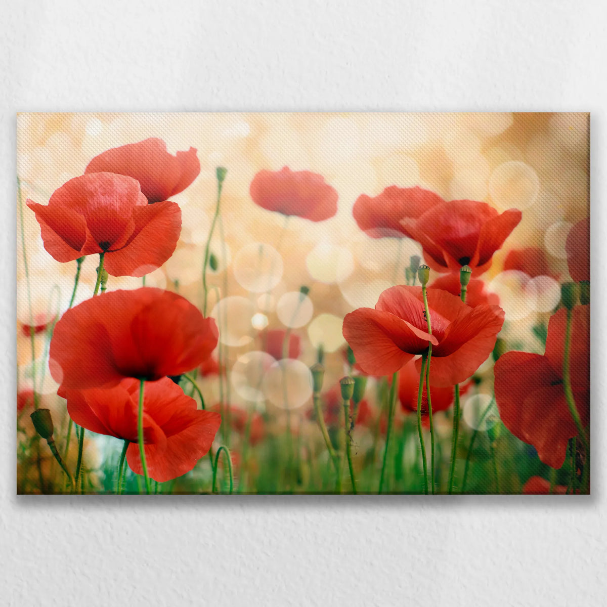 LW-075W050