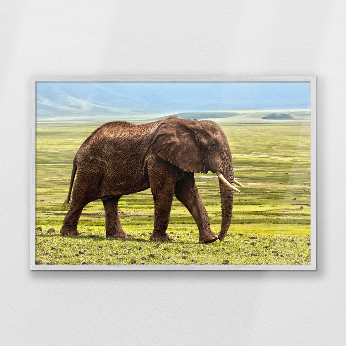 PW-093W062