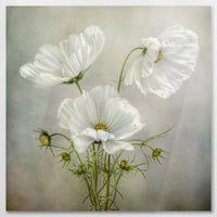 AL-070W070