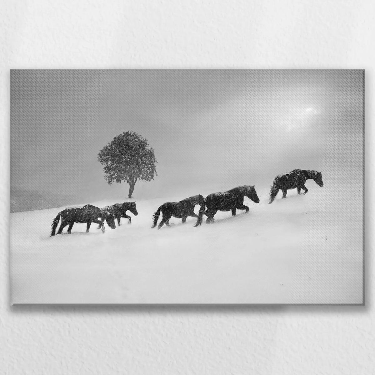 LW-075W050