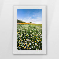 PWP070W100