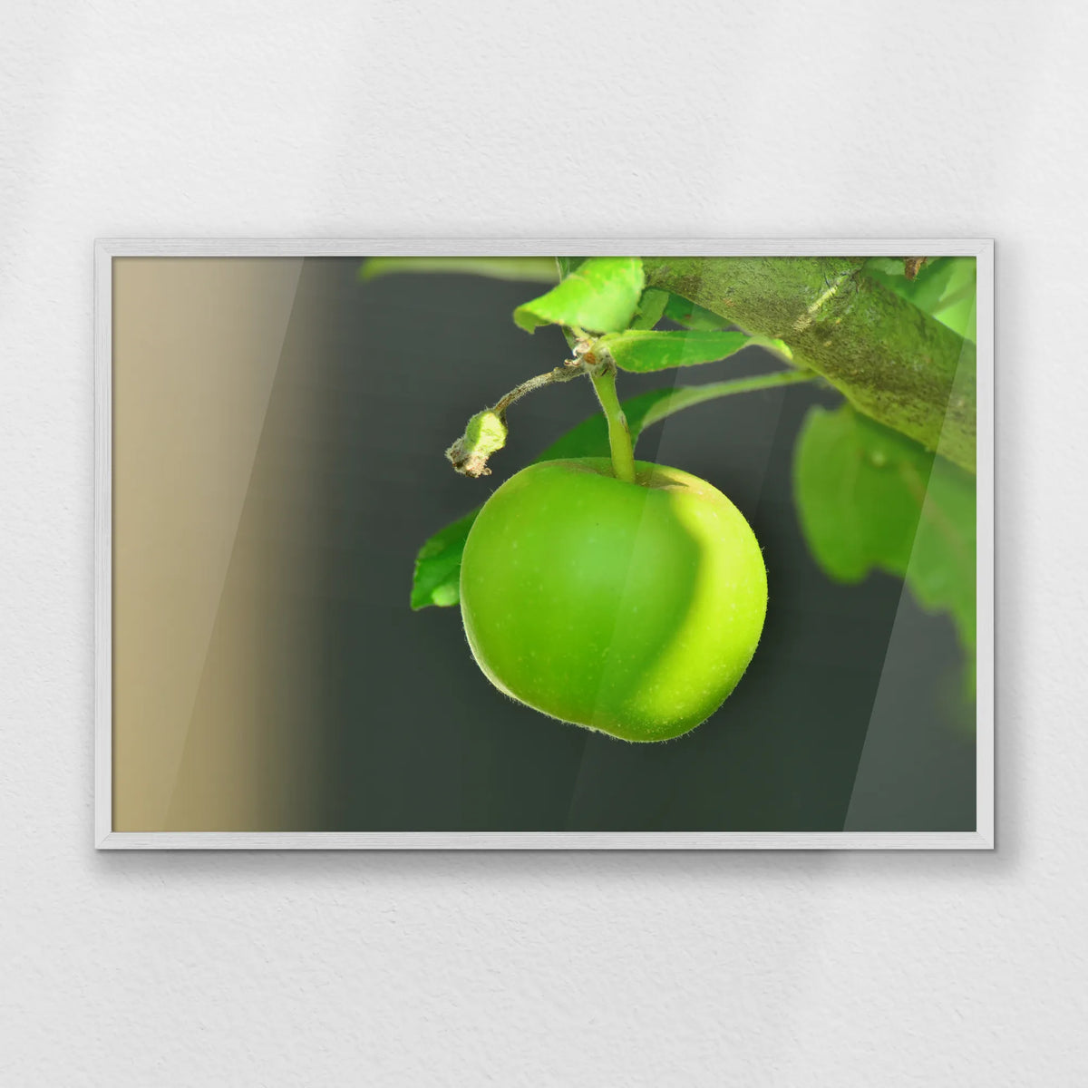 PW-093W062