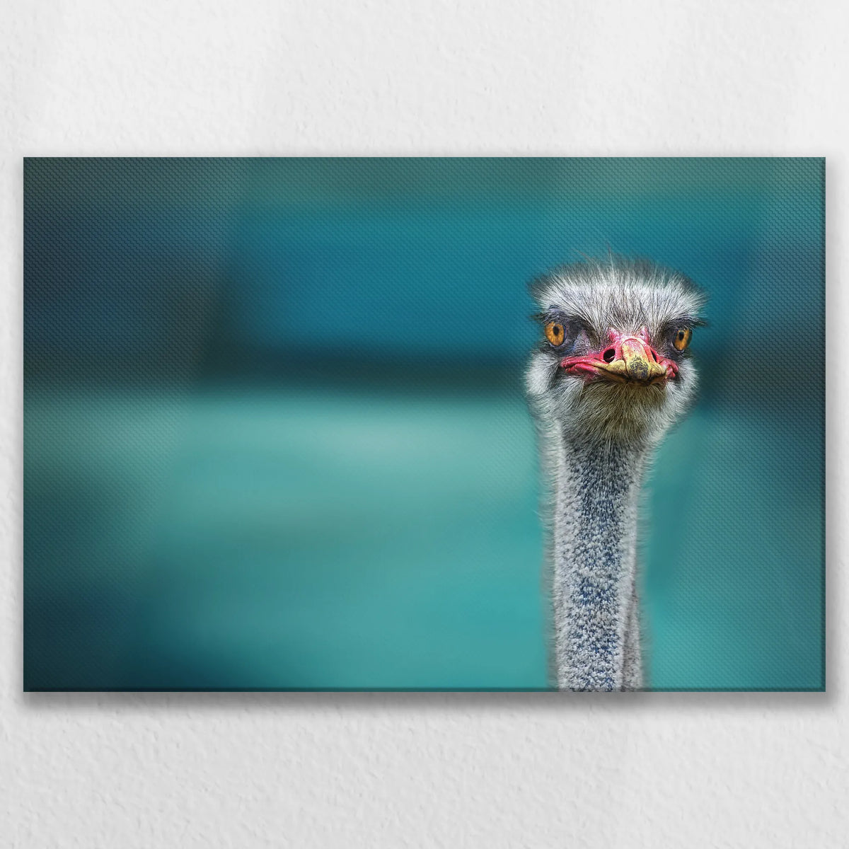 LW-075W050