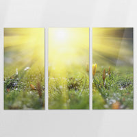 AC-180R120