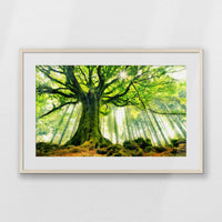 PNP093W062