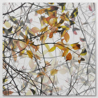 AL-070W070