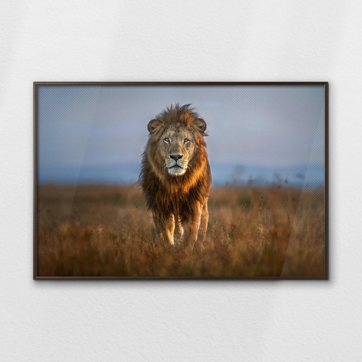 LWN120W080