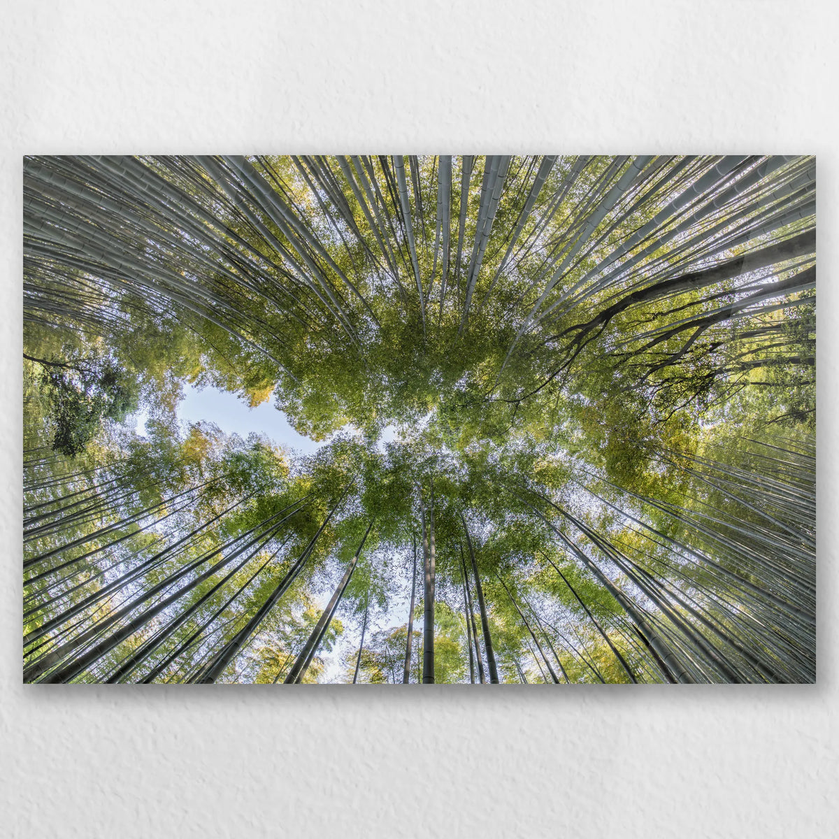AC-060W040